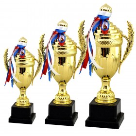 کاپ قهرمانی ورزشی مدل JB001 مجموعه 3 عددی
