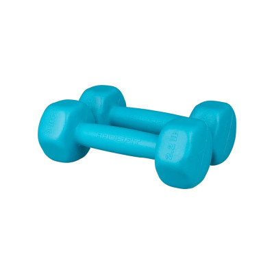 دمبل ایروبیک 2 کیلوگرم RADISFIT