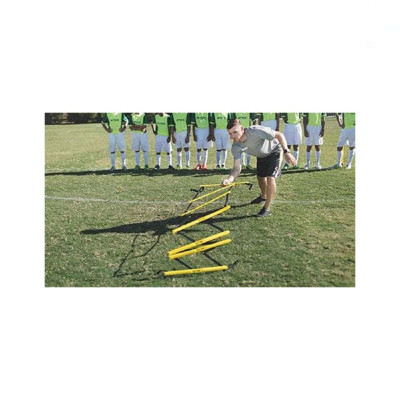 نردبان چابکی حرفه ای SKLZ