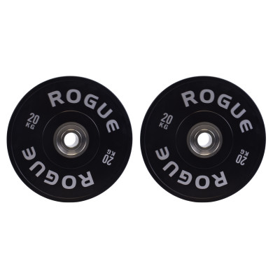 پلیت کراسفیت 20 کیلوگرمی ROGUE
