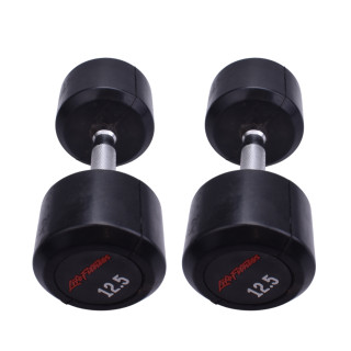 دمبل گرد 12.5 کیلویی LifeFitness (بسته 2 عددی)