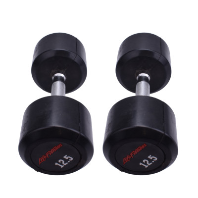 دمبل گرد 12.5 کیلویی LifeFitness