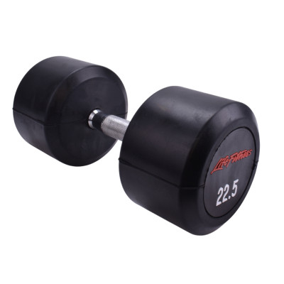 دمبل گرد 22.5 کیلویی LifeFitness
