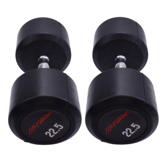دمبل گرد 22.5 کیلویی LifeFitness (بسته 2 عددی)