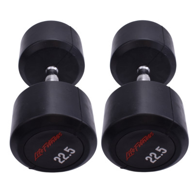 دمبل گرد 22.5 کیلویی LifeFitness