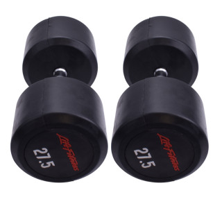 دمبل گرد 27.5 کیلویی LifeFitness (بسته 2 عددی)