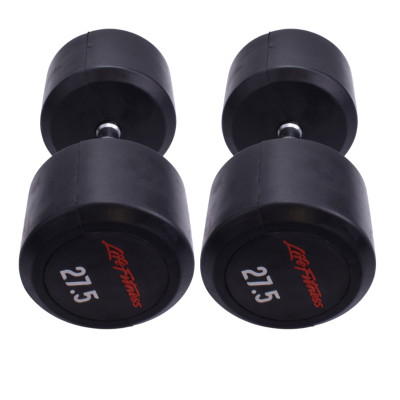 دمبل گرد 27.5 کیلویی LifeFitness