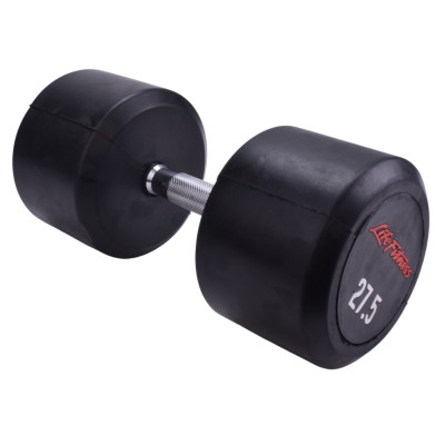 دمبل گرد 27.5 کیلویی LifeFitness
