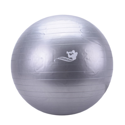 توپ جیم بال 75 سانت POWERGYM