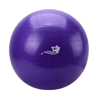 توپ جیم بال 75 سانت POWERGYM