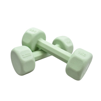 دمبل ایروبیک 1 کیلویی ARKAFIT (بسته دو عددی)