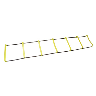 خرید اینترنتی نردبان چابکی دومنظوره payam ( لدر مرتفع ) | ورزشی آنیک