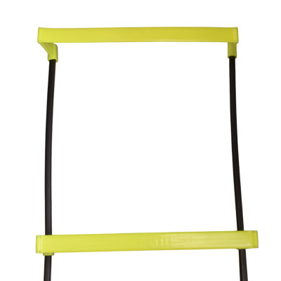 خرید اینترنتی نردبان چابکی دومنظوره payam ( لدر مرتفع ) | ورزشی آنیک