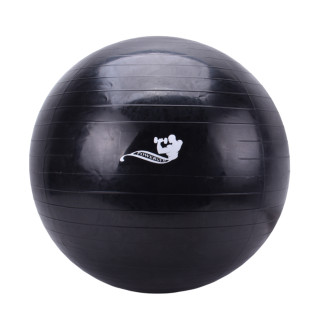 خرید اینترنتی توپ جیمبال سایز 65 تایوانی | خرید انواع لوازم ورزشی