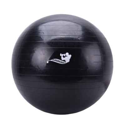 خرید اینترنتی توپ جیمبال سایز 65 تایوانی | خرید انواع لوازم ورزشی