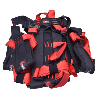 خرید هارنس فوردی پرو | آنیک