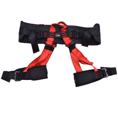 خرید هارنس فوردی پرو | آنیک