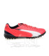 کفش فوتبال چمن مصنوعی پوما مدل Puma Evospeed 5.3 Tt