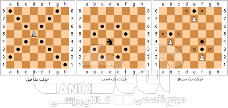 حرکت مهره های شطرنج Chess