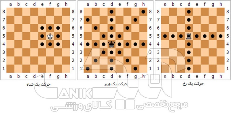 حرکت مهره شطرنج Chess